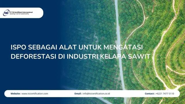 ISPO sebagai Alat untuk Mengatasi Deforestasi di Industri Kelapa Sawit