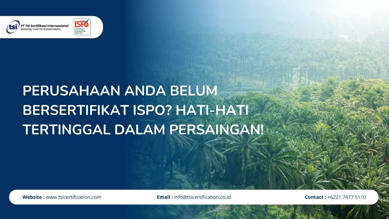 Petani Sawit Wajib Tahu! Tantangan &amp; Peluang Sertifikasi ISPO yang Bisa Mengubah Masa Depan Anda