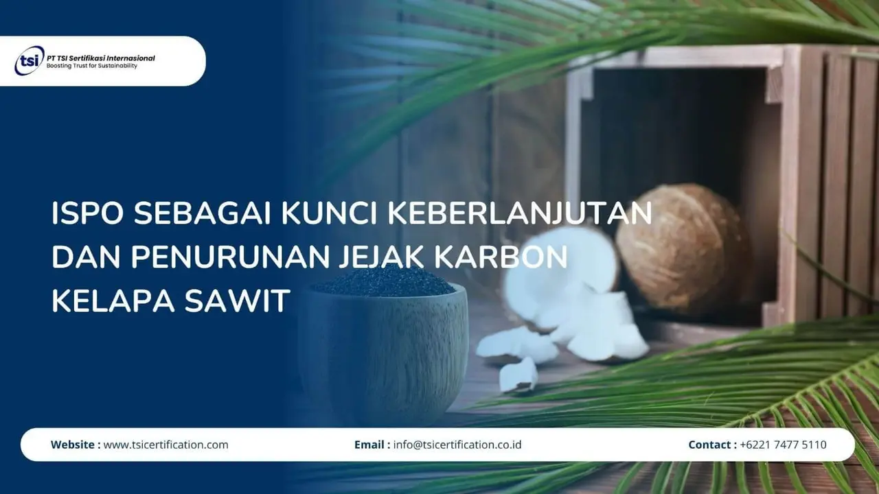ISPO sebagai Kunci Keberlanjutan dan Penurunan Jejak Karbon Kelapa Sawit