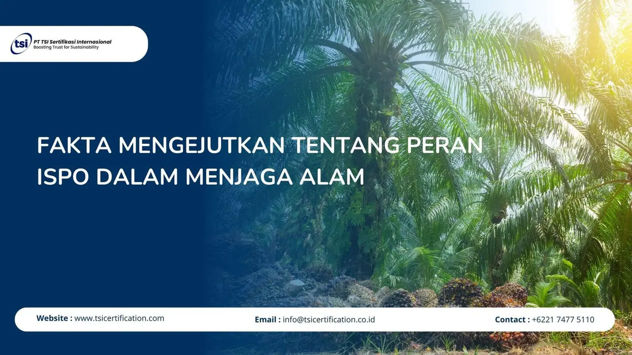 Fakta Mengejutkan tentang Peran ISPO dalam Menjaga Alam