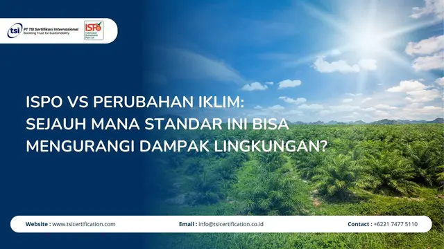 ISPO vs Perubahan Iklim: Sejauh Mana Standar Ini Bisa Mengurangi Dampak Lingkungan?