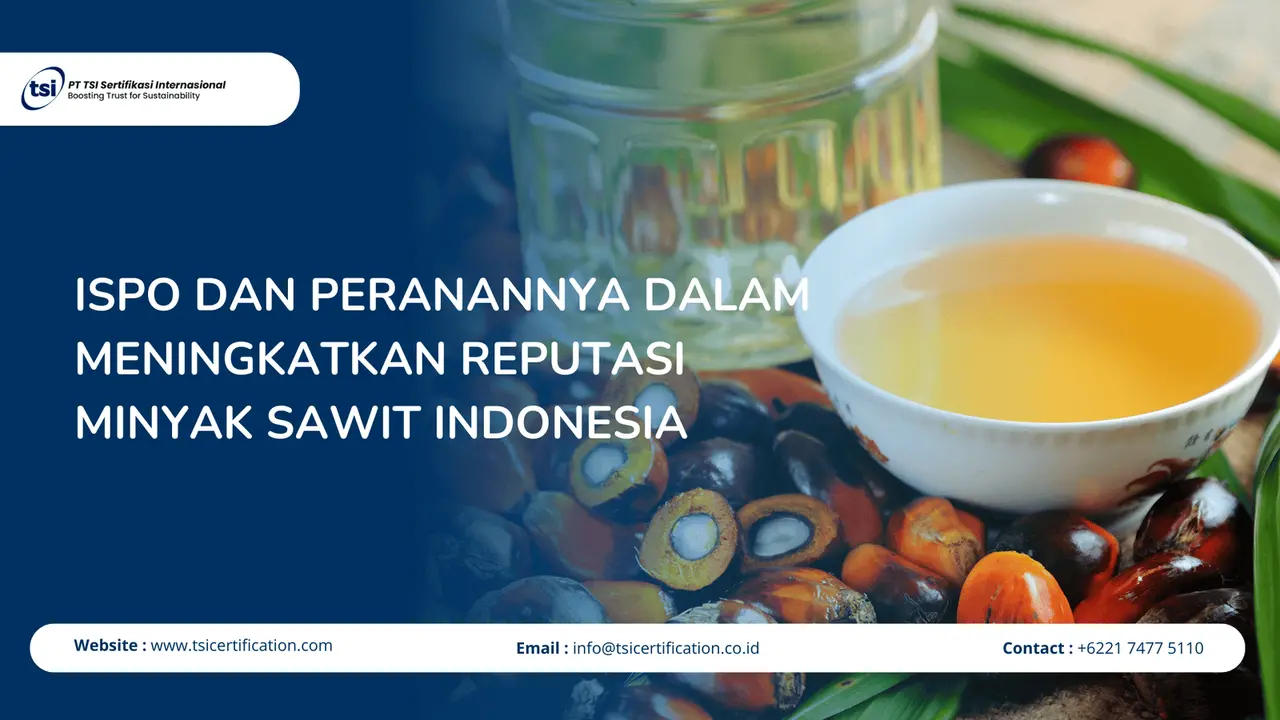 ISPO dan Peranannya dalam Meningkatkan Reputasi Minyak Sawit Indonesia