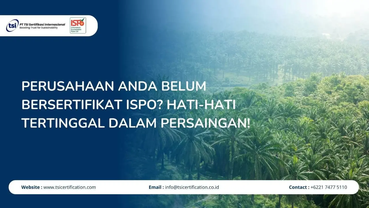 Perusahaan Anda Belum Bersertifikat ISPO? Hati-Hati Tertinggal dalam Persaingan!