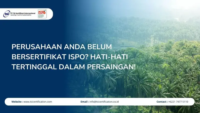 Perusahaan Anda Belum Bersertifikat ISPO? Hati-Hati Tertinggal dalam Persaingan!