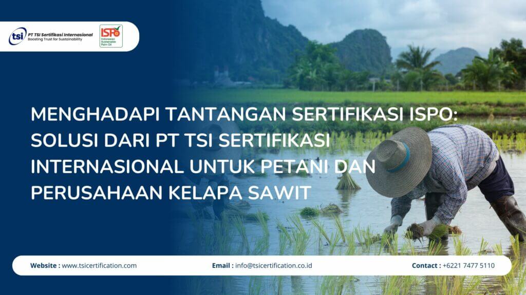 Menghadapi Tantangan Sertifikasi ISPO: Solusi dari PT TSI Sertifikasi Internasional untuk Petani dan Perusahaan Kelapa Sawit