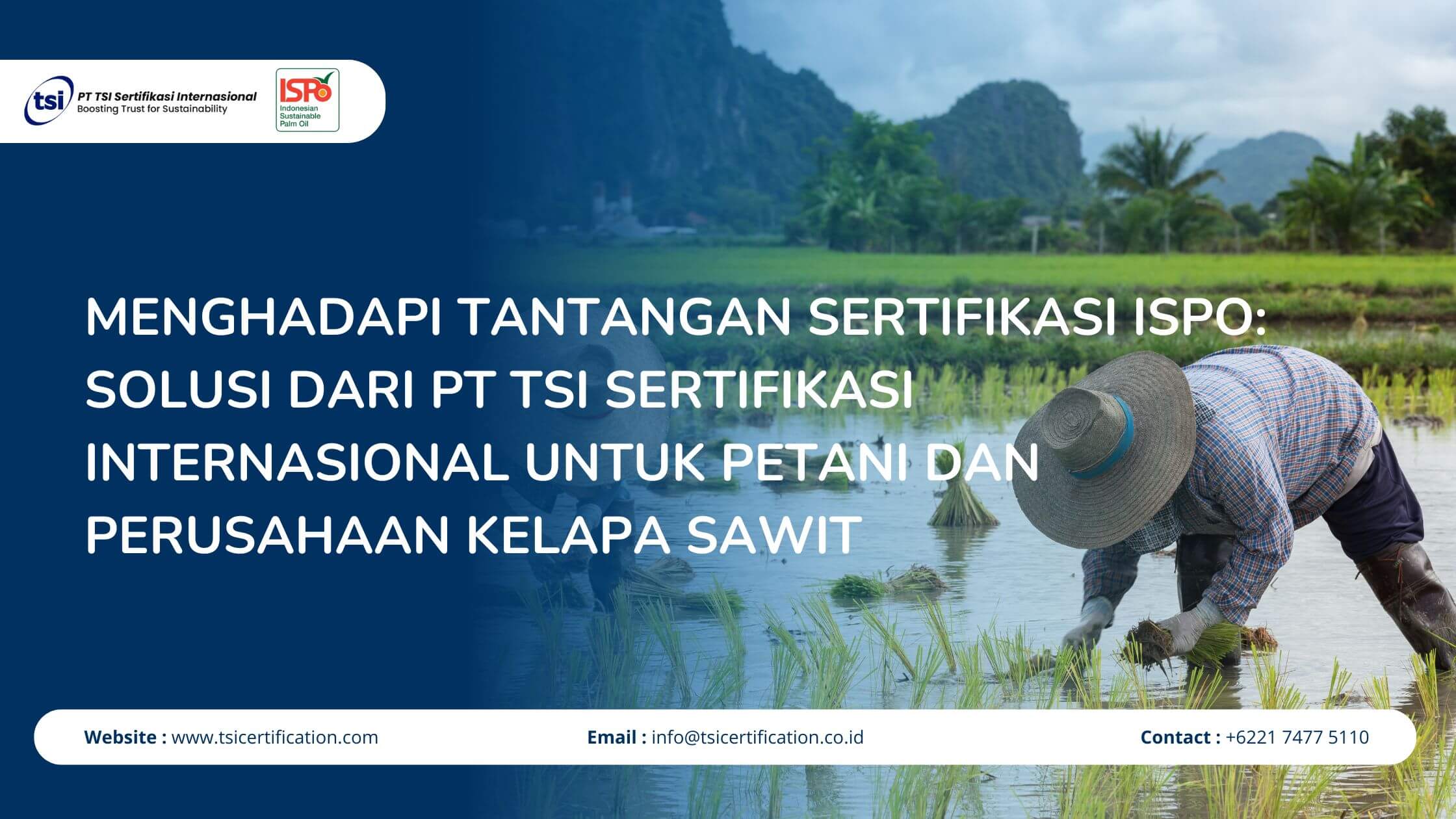 Menghadapi Tantangan Sertifikasi ISPO: Solusi dari PT TSI Sertifikasi Internasional untuk Petani dan Perusahaan Kelapa Sawit