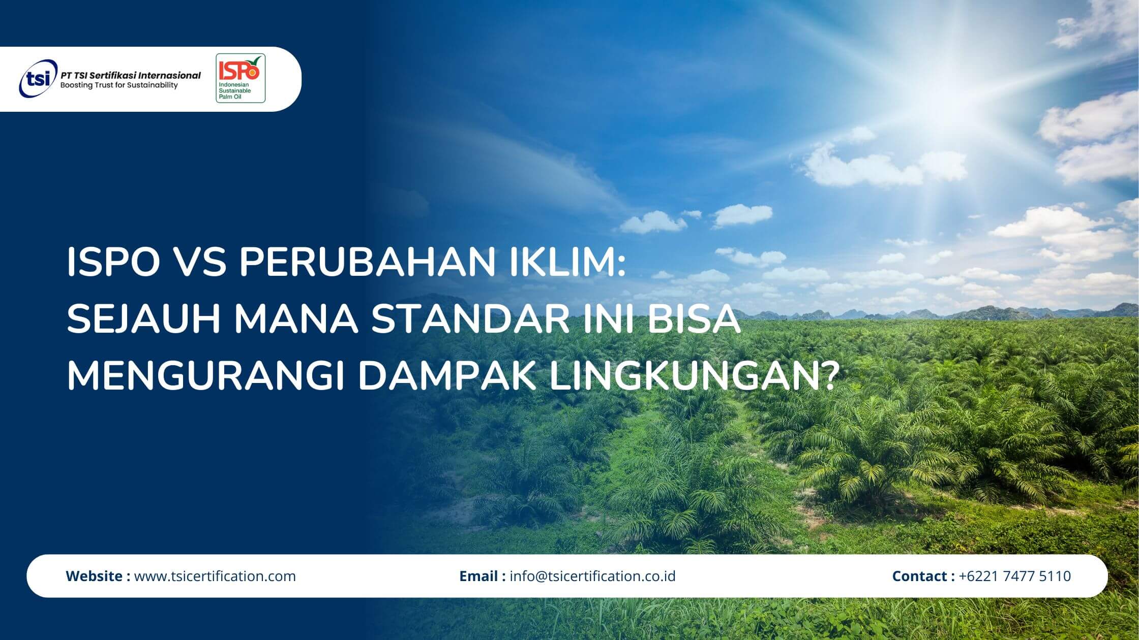 ISPO vs Perubahan Iklim: Sejauh Mana Standar Ini Bisa Mengurangi Dampak Lingkungan?